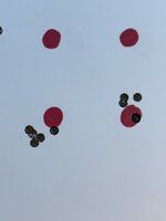 IMG_6983.jpeg