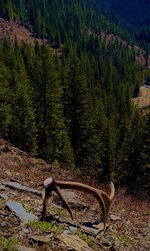 IMG_1730.jpeg