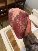 IMG_6613.jpeg