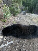 IMG_0063.jpeg
