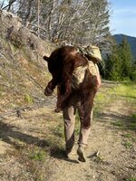 IMG_7630.jpeg