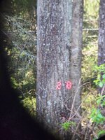 20260415_132512.jpg