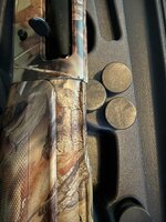IMG_3522.jpeg