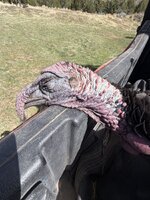 IMG_6755.jpeg