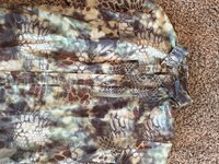 IMG_3533.jpeg