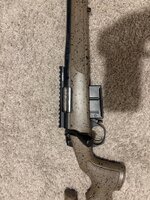 IMG_5937.jpeg