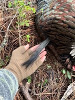 IMG_4614.jpeg