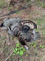 IMG_4616.jpeg