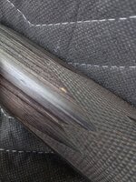 IMG_20260416_093720359_HDR.jpeg