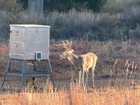IMG_8642.jpeg