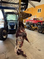 IMG_8643.jpeg