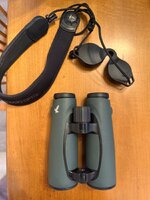 IMG_3711.jpeg