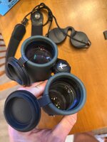IMG_3713.jpeg