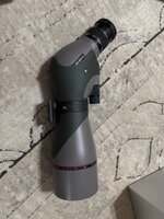 IMG_9101.jpeg