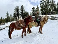 IMG_6295.jpeg