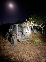 IMG_7919.jpeg