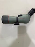 IMG_7232.jpeg