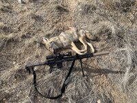 IMG_8966.jpeg