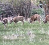 IMG_4989.jpeg
