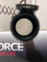 IMG_2038.jpeg