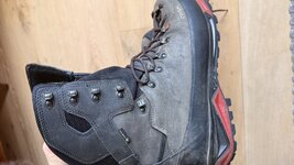 IMG_2482.jpg