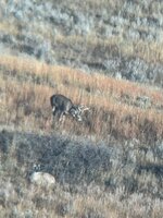 IMG_3610.jpeg