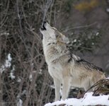 IMG_8625.jpeg