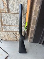 IMG_9367.jpeg