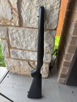 IMG_9368.jpeg