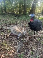 IMG_5983.jpeg
