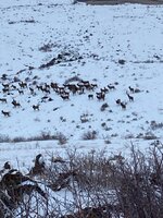 IMG_0140.jpeg