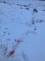 IMG_0141.jpeg