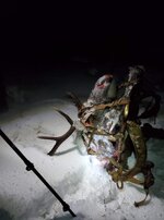IMG_0143.jpeg