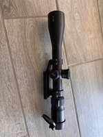 IMG_3770.jpeg