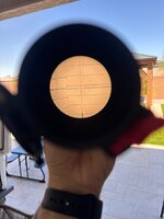 IMG_3765.jpeg