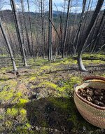 IMG_1862.jpeg