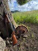 IMG_3041.jpeg