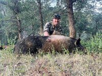 pig 2.jpeg