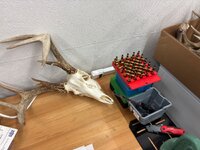 IMG_1559.jpeg