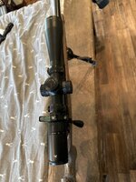 IMG_8875.jpeg