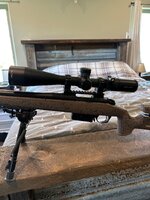 IMG_8873.jpeg