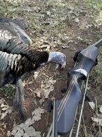 IMG_0777.jpeg