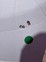 IMG_1715.jpeg