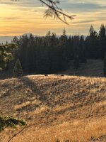 IMG_7977.jpeg