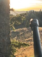 IMG_7982.jpeg