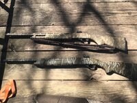 IMG_2428.jpeg