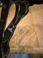 IMG_2547.jpeg