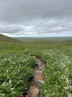 IMG_4455.jpeg