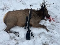 IMG_3068.jpeg