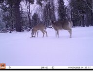IMG_8636.jpeg